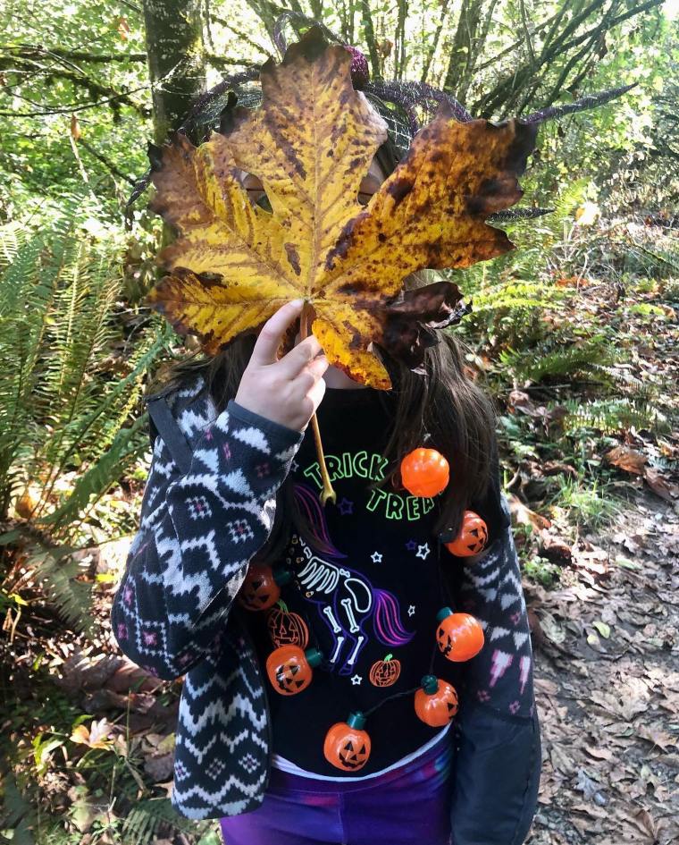 20 Fall Hikes for Kids around Portland, Vancouver, the Columbia River Gorge, and Mt.&nbsp;Hood