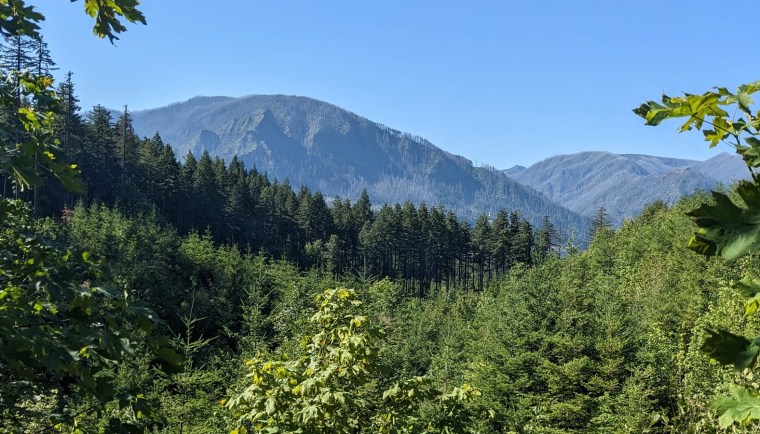 Join us for a free family hike with the Stevenson Library on&nbsp;5/17/25!