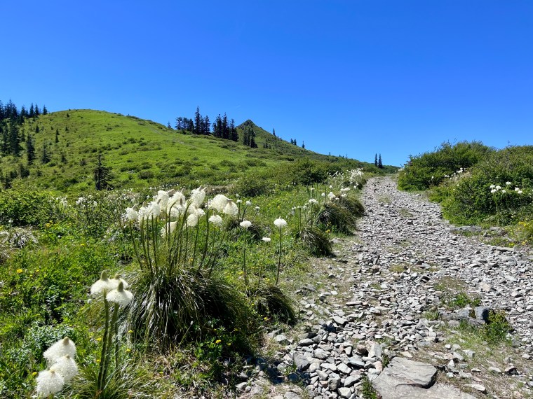 Kid-Friendlier Hike on Silver Star&nbsp;Mountain